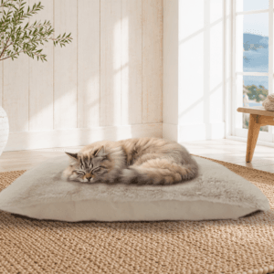 Luxury Pet Loungers